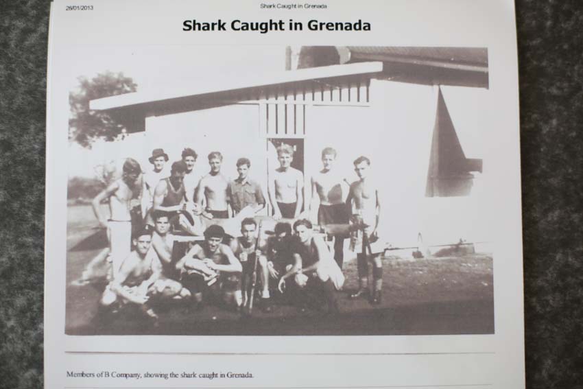 Shark Fishing.jpg